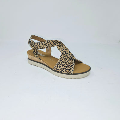 62.751 Leopard