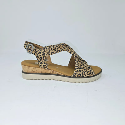 62.751 Leopard