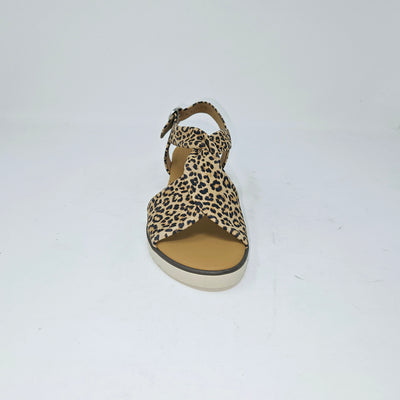 62.751 Leopard