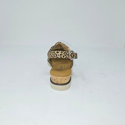 62.751 Leopard