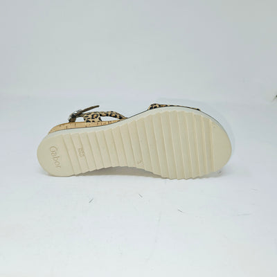 62.751 Leopard
