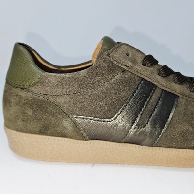 73.300 Olive