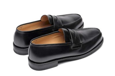 Adonis Noir 228112